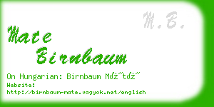 mate birnbaum business card